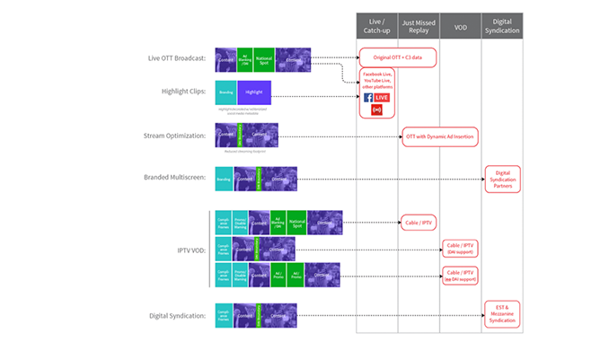 The Live Programming Life Cycle